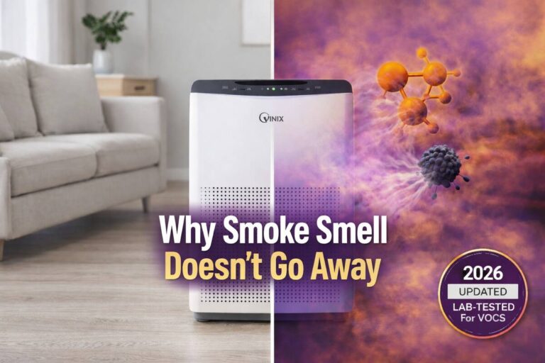 Air purifier for smoke smell; Infographic showing how smoke haze is trapped by HEPA filters while invisible odors and gases are adsorbed by activated carbon pellets.