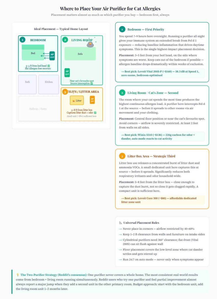 Air purifier placement diagram for cat allergies — 
floor plan showing bedroom first, living room second, 
litter box area third placement strategy