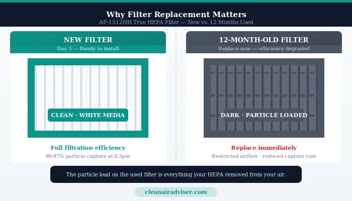 Coway AP-1512HH new white HEPA filter versus worn grey 12-month-old filter side by side