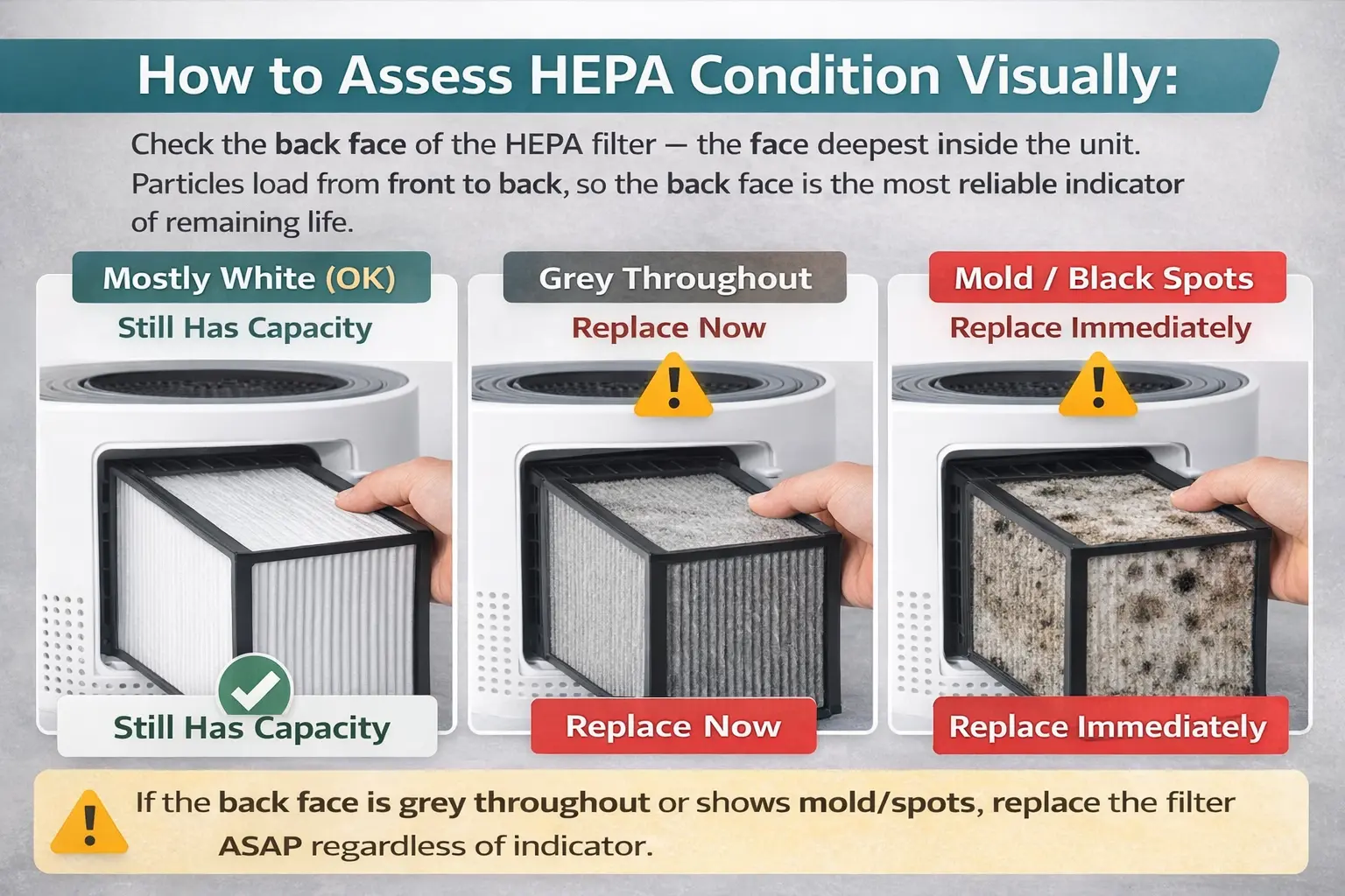 hepa filter back face inspection white new filter vs grey spent filter visual check